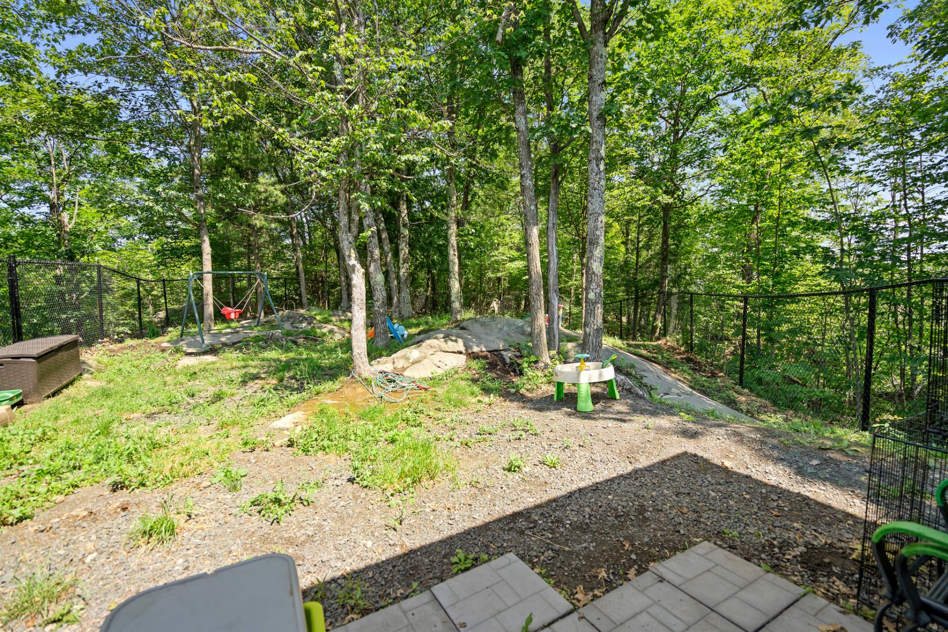Backyard